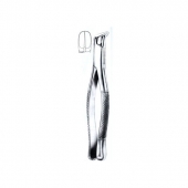 Extracting Forceps American Pattern